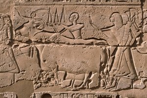 İnekleri yöneten erkekleri betimleyen bir kabartmanın detayı, II. Ramses (MÖ 1298-32) avlusu (kireçtaşı) by Egyptian 19th Dynasty