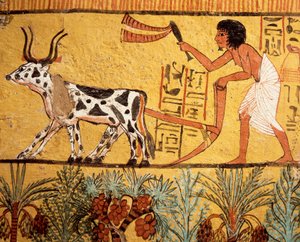  by Egyptian 19th Dynasty