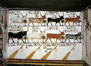 Mısır, Teb, Luksor, Kraliçeler Vadisi, Nefertari Mezarı, antrenin eki, Duvar resimleri, Resimli Ölüler Kitabı, Bölüm 89 by Egyptian 19th Dynasty
