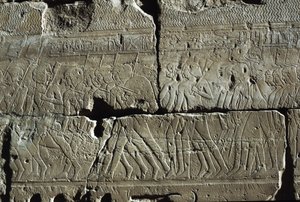 by Egyptian 19th Dynasty