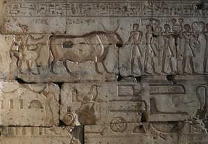 Rölyef, II. Ramses Tapınağı, Abydos, Mısır, Mısır uygarlığı, Yeni Krallık, XIX. Hanedan (fotoğraf) by Egyptian 19th Dynasty
