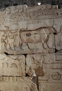 Rölyef, II. Ramses Tapınağı, Abydos, Mısır, Mısır uygarlığı, Yeni Krallık, XIX. Hanedan (fotoğraf) by Egyptian 19th Dynasty