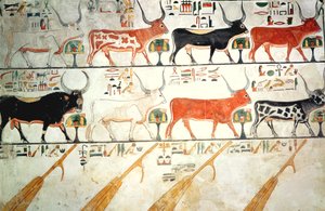 Yedi göksel inek ve kutsal boğa ve cennetin dört dümeni, Nefertari Mezarı
