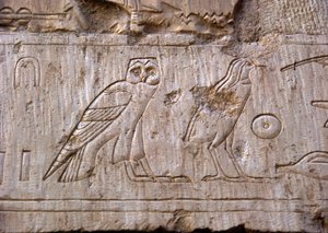 Mısır antikası: bir baykuş ve bir kartalı temsil eden kabartma. Ankh-Hor Mezarı (Ankh Hor) (TT414) (26. Hanedan, MÖ 672-525), Luksor (Thebes), Mısır by Egyptian 26th Dynasty