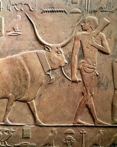 Ptahhotep Mastaba ve Akhti-Ho Tep, Eski Krallık