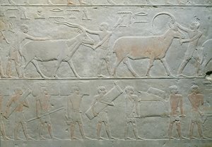 Akhethotep Mastaba, Saqqara, Eski Krallık, MÖ 2400 dolaylarında (boyalı kireçtaşı) oriks ve antilop kullanan hizmetçiler ve bagaj taşıyan diğerleri
