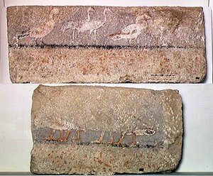 Kuşları betimleyen duvar resmi, Eski Krallık (boyalı kalsit)