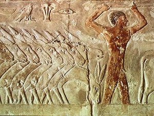 Eski Krallık, Mereruka Mastaba