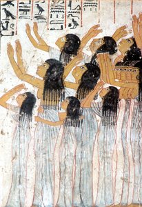  by Egyptian Egyptian