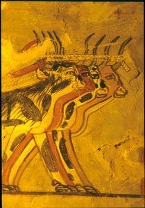  by Egyptian Egyptian