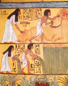 İşçi Köyü, Sennedjem Mezarı