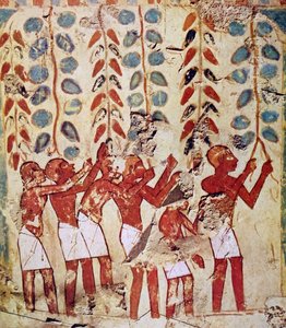 Mısır mezarı duvar resmi by Egyptian Egyptian