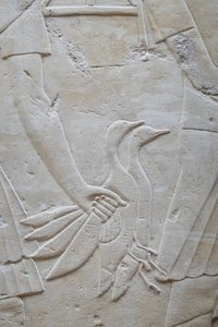  by Egyptian Egyptian