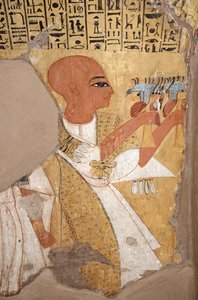  by Egyptian Egyptian