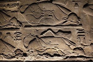  by Egyptian Egyptian