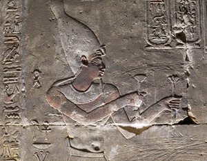  by Egyptian Egyptian