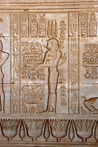 Mısır antikliği: tanrıçaya saygı için adaklar getiren genç bir kadının temsili, Hathor Tapınağı, Dendera, Mısır by Egyptian Ptolemaic Period