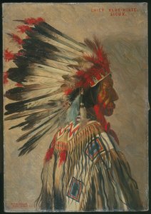 Şef Mavi At, Sioux