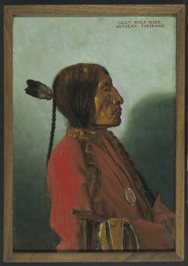Şef Kurt Elbisesi