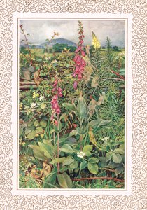 Foxgloves arasında Naues Periler, Hodder & Stoughton tarafından yayınlanan Alfred Tennyson (1809-92) tarafından 