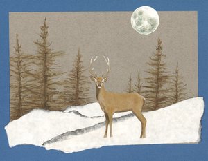 Gece Karşılaşması, 2012 (kağıt üzerine suluboya ve kolaj) by Eleanor Grafton