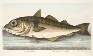 A Treatise on Fish and Fish-ponds