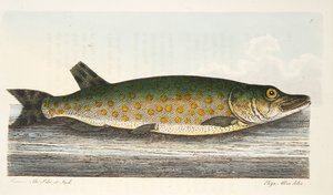 A Treatise on Fish and Fish-ponds
