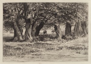 Bir Grup Söğüt by Eleazer Hutchinson Miller
