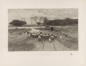 Çoban