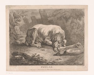 Uyuyan köpek Phylax (nesne üzerindeki başlık) by Élie du Mesnil