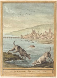 İki Köpek ve Ölü Eşek by Elie du Mesnil after Jean Baptiste Oudry