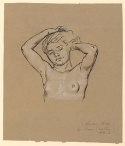 "Venüs" için çalışma by Elihu Vedder