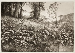 Bir Yaz Öğleden Sonrası by Elis F. Miller