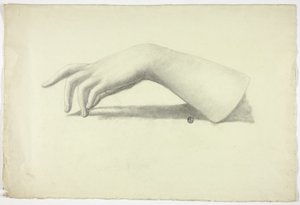 Sol Önkol ve El by Elizabeth Murray