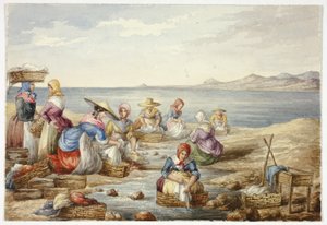 Nice şirketinde çamaşırcı
