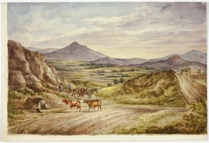 Wicklow Tepeleri by Elizabeth Murray