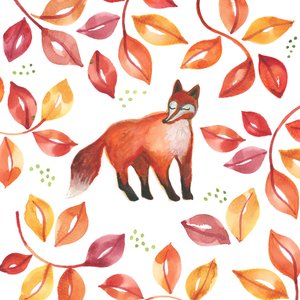  by Elizabeth Rider