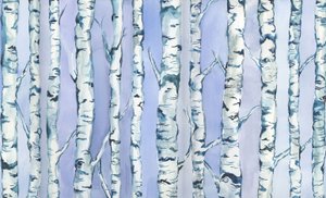  by Elizabeth Rider