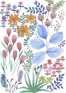  by Elizabeth Rider