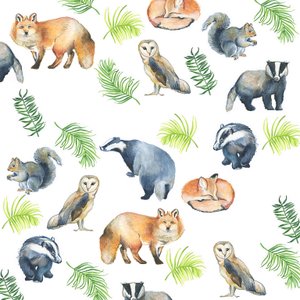  by Elizabeth Rider