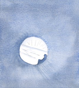 Mesih tarafından bize verilen lütuflar, tam bir selde bizi kaynağa götürecek bir nehir gibidir, 2000 (kağıt üzerinde w/c) by Elizabeth Wang