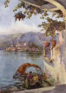 Orta