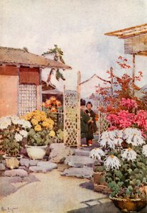 Kasımpatı, Kyoto (renkli taş) by Ella Du Cane