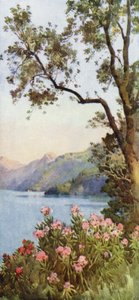 Lecco Gölü, Como Gölü (renkli taş) by Ella Du Cane