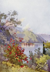 Menaggio, Como Gölü (renkli taş) by Ella Du Cane