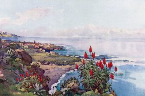 Puerto Orotava (renk üyeleri) by Ella Du Cane