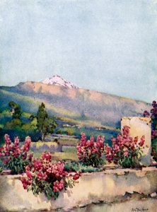 Tepe, Villa Orotava