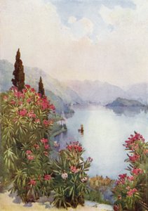 Villa Serbelloni, Como Gölü (renkli taş) by Ella Du Cane