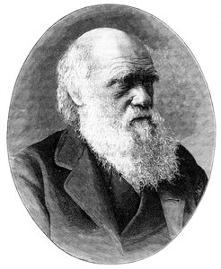 Charles Darwin, 19. yüzyıl İngiliz doğa bilimci, 1900.