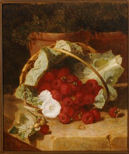 Bir Taş Çıkıntıda Beyaz Kıvrılma ile Lahana Yaprağı Astarlı Sepette Ahududu, 1880 by Eloise Harriet Stannard
